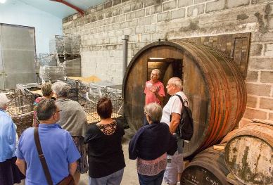 Visite de la Ferme L'Hermitière à Saint-Jean-des-Champs