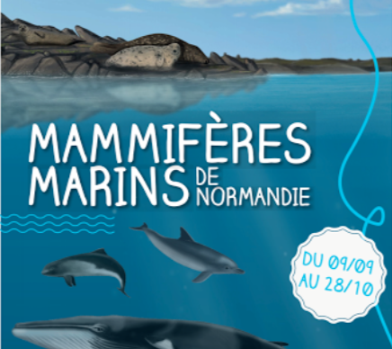 Exposition : "Les mammifères marins de Normandie "