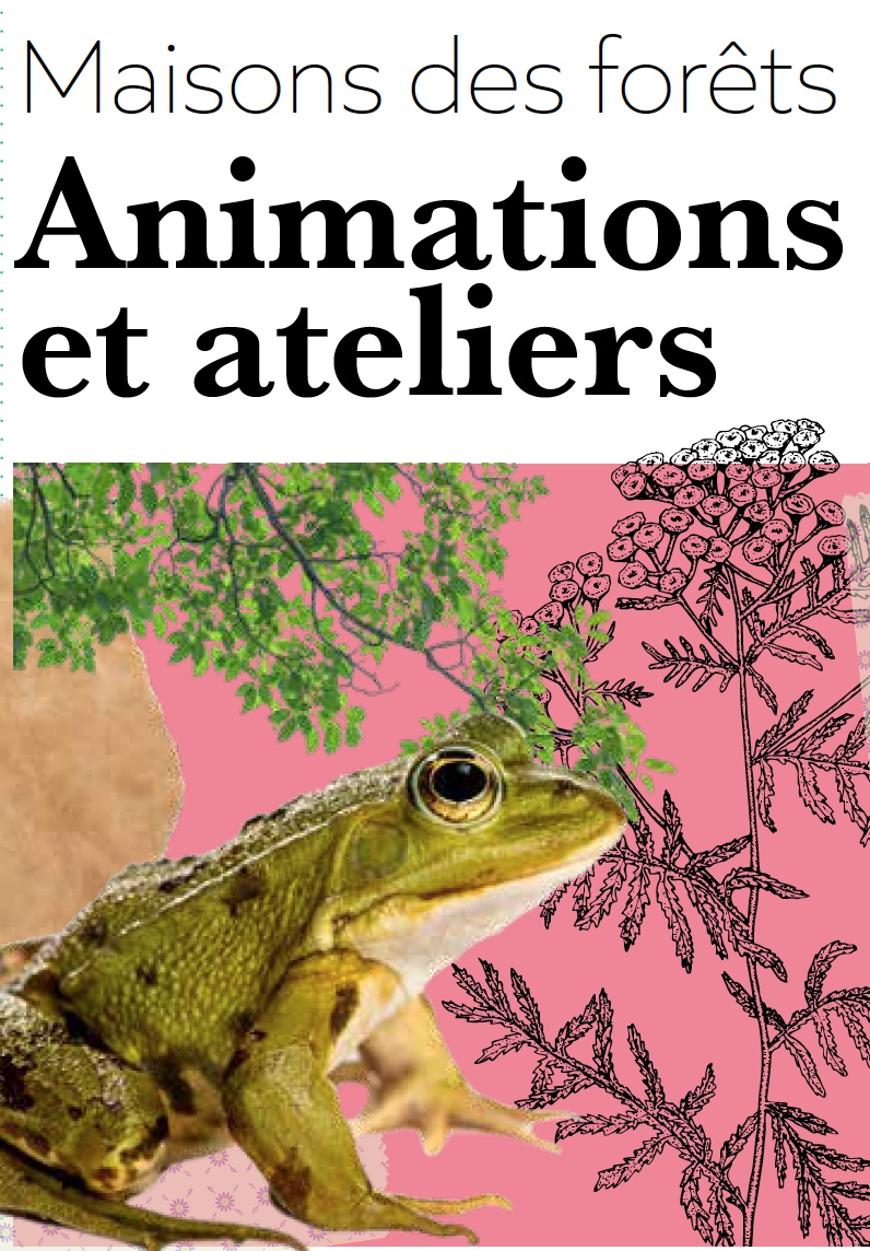 Les amphibiens