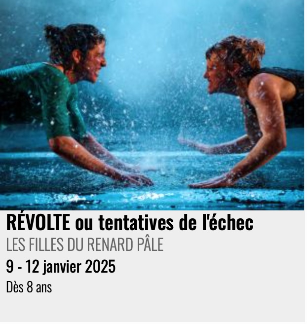 Funambules et voltigeuses rock’n roll : "RÉVOLTE ou tentatives de l'échec", LES FILLES DU RENARD PÂLE