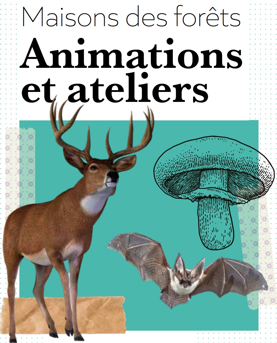 Atelier : "Fabrication d’un calendrier de l’Avent"