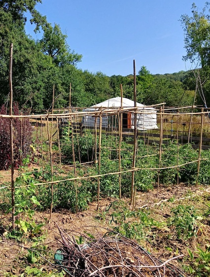 Ateliers Nature - Instruction en famille (Réseau Pédagogie Par la Nature / Forest School)