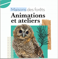 Stage Nature "Le printemps ça se fête !" à la Maison des forêts de Darnétal